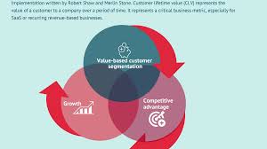 Customer Lifetime Value Optimization
